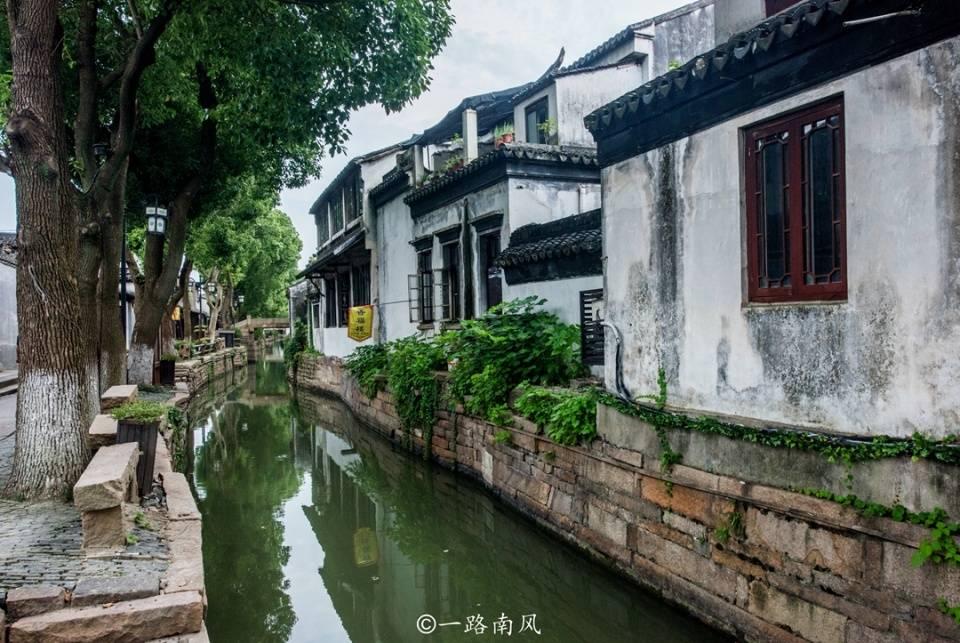 救援蓝色小鱼